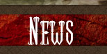 News Page Icon